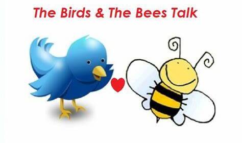 The Birds And The Bees